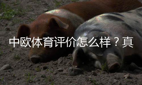 中欧体育评价怎么样？真实用户口碑、平台信誉与风险全面解析