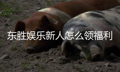 东胜娱乐新人怎么领福利？手把手教你轻松获取首存礼金