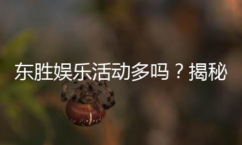东胜娱乐活动多吗？揭秘丰富玩法与特色优惠