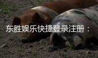 东胜娱乐快捷登录注册：轻松三步完成账号注册畅享游戏