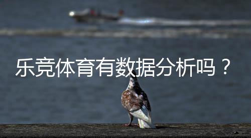 乐竞体育有数据分析吗？平台数据功能、来源与实战应用全解析