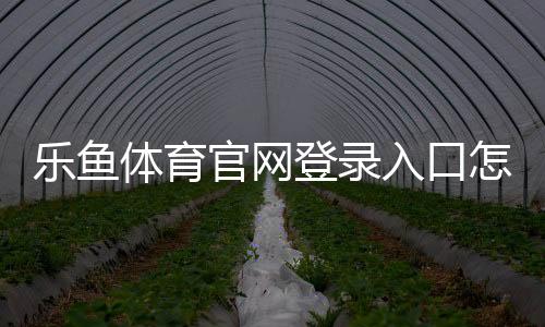 乐鱼体育官网登录入口怎么进？官网注册、登录与常见问题详细教程