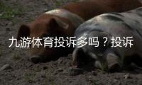 九游体育投诉多吗？投诉原因、处理流程与用户维权攻略