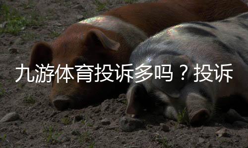 九游体育投诉多吗？投诉原因、处理流程与用户维权攻略