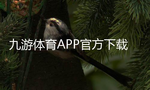 九游体育APP官方下载通道详解：官网下载地址、安卓iOS一键安装与安全验证教程