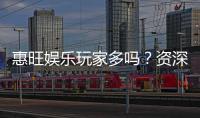 惠旺娱乐玩家多吗？资深玩家揭秘真实人气与体验