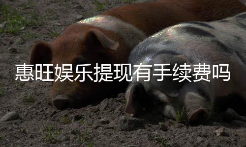 惠旺娱乐提现有手续费吗？手续费标准及到账时间详解