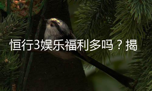 恒行3娱乐福利多吗？揭秘平台独家优惠与玩家真实反馈