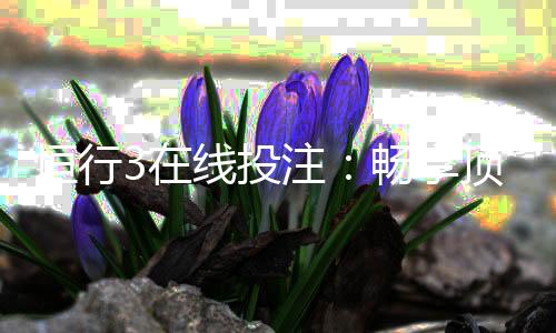 恒行3在线投注：畅享顶级电子游艺的投注乐趣与技巧