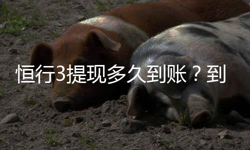 恒行3提现多久到账?到账时间及流程详解
