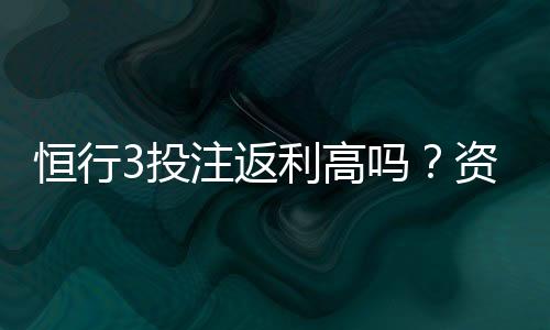 恒行3投注返利高吗？资深玩家揭秘真实返利比例与技巧