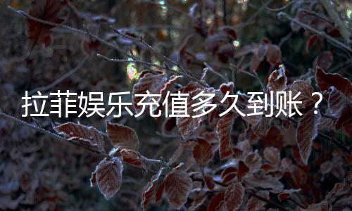 拉菲娱乐充值多久到账？3分钟极速到账技巧分享