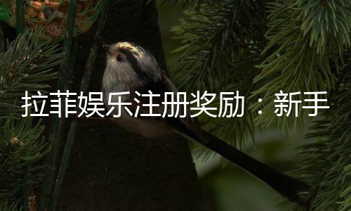 拉菲娱乐注册奖励:新手首存礼包与高额返水详解