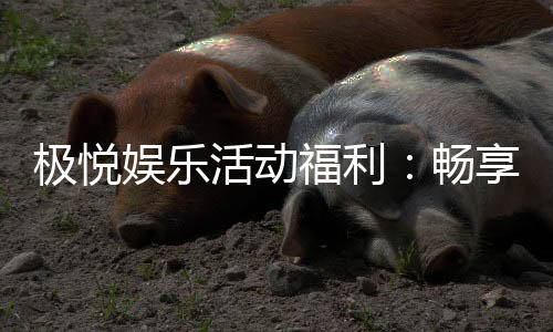 极悦娱乐活动福利：畅享多重好礼与独家优惠