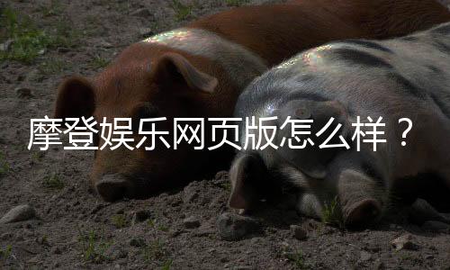 摩登娱乐网页版怎么样？资深玩家真实体验分享