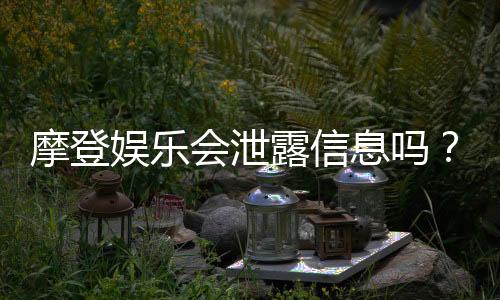 摩登娱乐会泄露信息吗？深度解析平台安全性与隐私保护措施