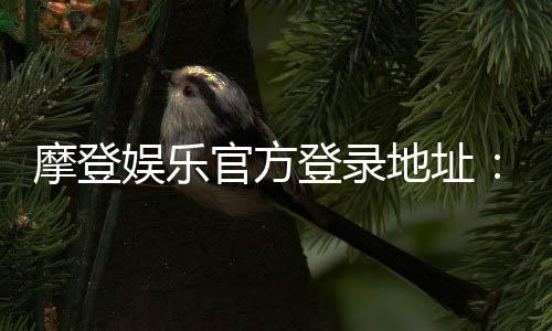 摩登娱乐官方登录地址：畅享顶级电子游艺的尊贵体验