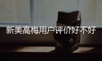 新美高梅用户评价好不好？真实玩家体验分享