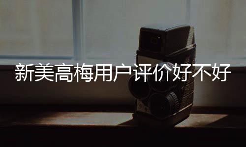新美高梅用户评价好不好？真实玩家体验分享