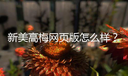 新美高梅网页版怎么样？资深玩家带你揭秘真实体验