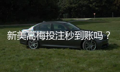 新美高梅投注秒到账吗？实测到账速度与技巧分享
