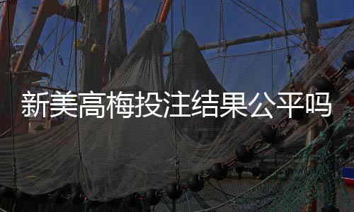 新美高梅投注结果公平吗？深度解析平台公正性与玩家实测反馈
