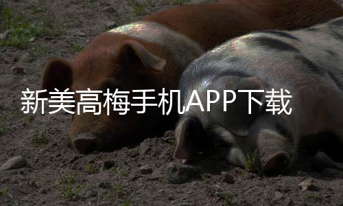 新美高梅手机APP下载：畅享豪华娱乐体验与惊喜优惠