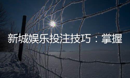 新城娱乐投注技巧：掌握这5个实战策略提升胜率
