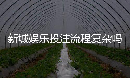 新城娱乐投注流程复杂吗？3分钟带你快速掌握全步骤