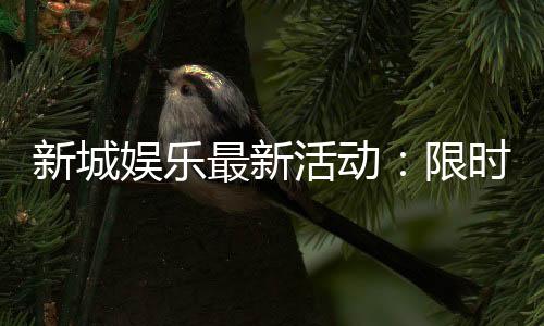 新城娱乐最新活动：限时优惠与惊喜礼包等你来拿