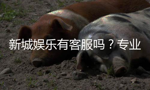 新城娱乐有客服吗？专业客服团队为您解答游戏疑问