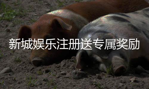 新城娱乐注册送专属奖励：新会员首存即享豪华礼包与高额返利