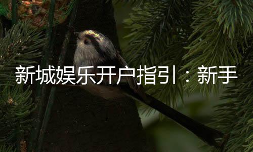 新城娱乐开户指引：新手必看的快速注册与首存攻略
