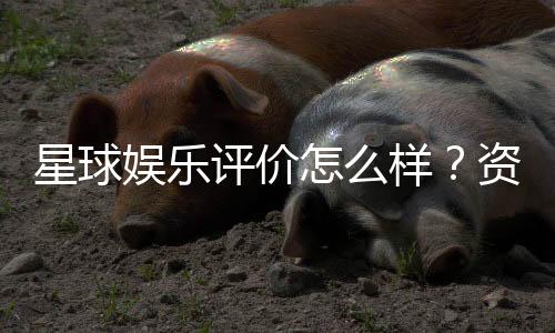 星球娱乐评价怎么样？资深玩家真实体验分享