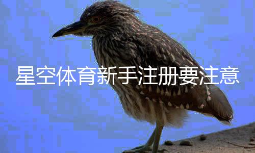 星空体育新手注册要注意什么？注册流程、实名认证与安全防护全解析