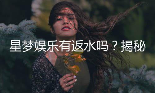 星梦娱乐有返水吗？揭秘返水政策与玩家福利