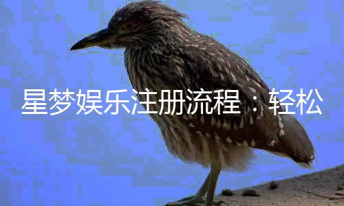 星梦娱乐注册流程：轻松三步完成账号开通与首存优惠