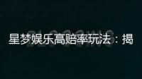 星梦娱乐高赔率玩法：揭秘稳赢技巧与独家投注策略