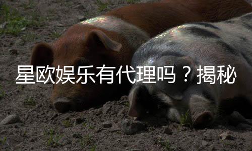星欧娱乐有代理吗？揭秘代理加盟条件与流程