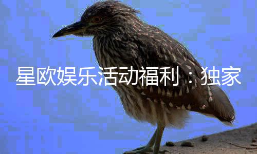 星欧娱乐活动福利：独家优惠与惊喜礼包大放送