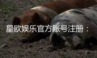星欧娱乐官方账号注册：轻松完成三步快速开户指南