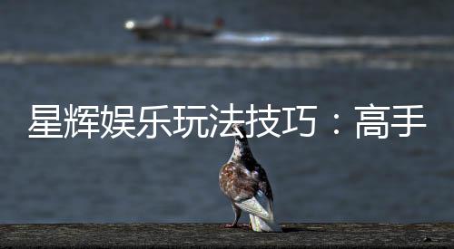 星辉娱乐玩法技巧：高手必备的实战秘籍与策略解析