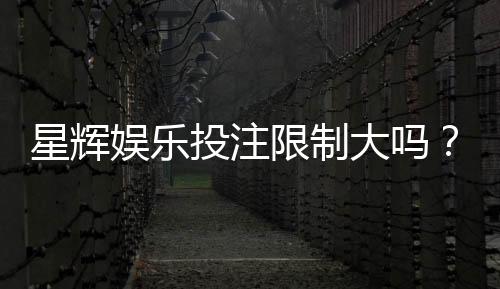 星辉娱乐投注限制大吗？深度解析平台规则与玩家策略