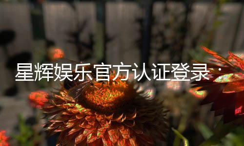 星辉娱乐官方认证登录：安全便捷的一站式游戏入口