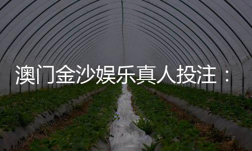 澳门金沙娱乐真人投注：揭秘高胜率玩家的实战技巧与心得