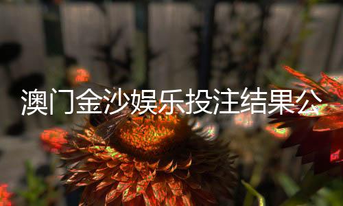 澳门金沙娱乐投注结果公平吗？深度解析平台公正性与玩家实测反馈