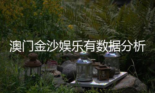 澳门金沙娱乐有数据分析吗？深度解析其数据统计与玩家策略
