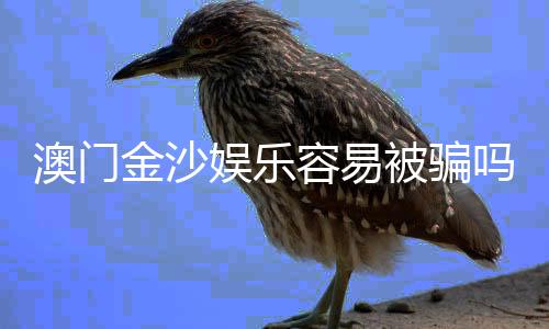 澳门金沙娱乐容易被骗吗？揭秘常见骗局与防骗技巧