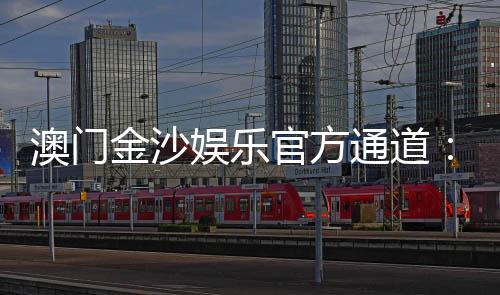 澳门金沙娱乐官方通道：畅享奢华博彩体验与独家优惠