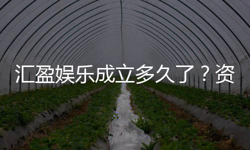 汇盈娱乐成立多久了？资深玩家揭秘平台发展历程与实力背景